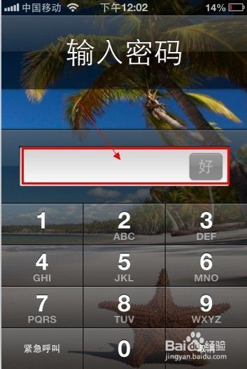 苹果手机怎么加密码苹果手机密码忘记了怎么打开-第2张图片-太平洋在线下载