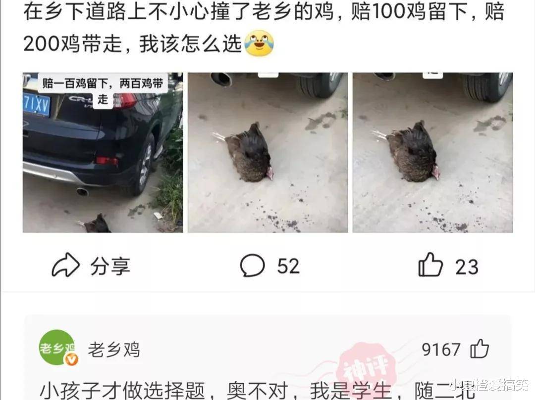 跳跳跳外挂苹果版:“撞了老乡的鸡，赔100鸡留下，赔200鸡带走！”该怎么选择？