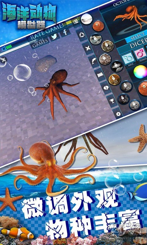 手机版海洋探索游戏海洋之星四岛归一手机版