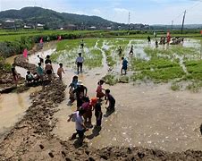 韶山新闻手机下栽韶山新闻网今日关注