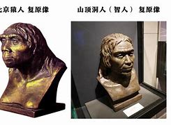 猿人时代安卓变态版哪里能玩到猿人时代完整版-第2张图片-太平洋在线下载