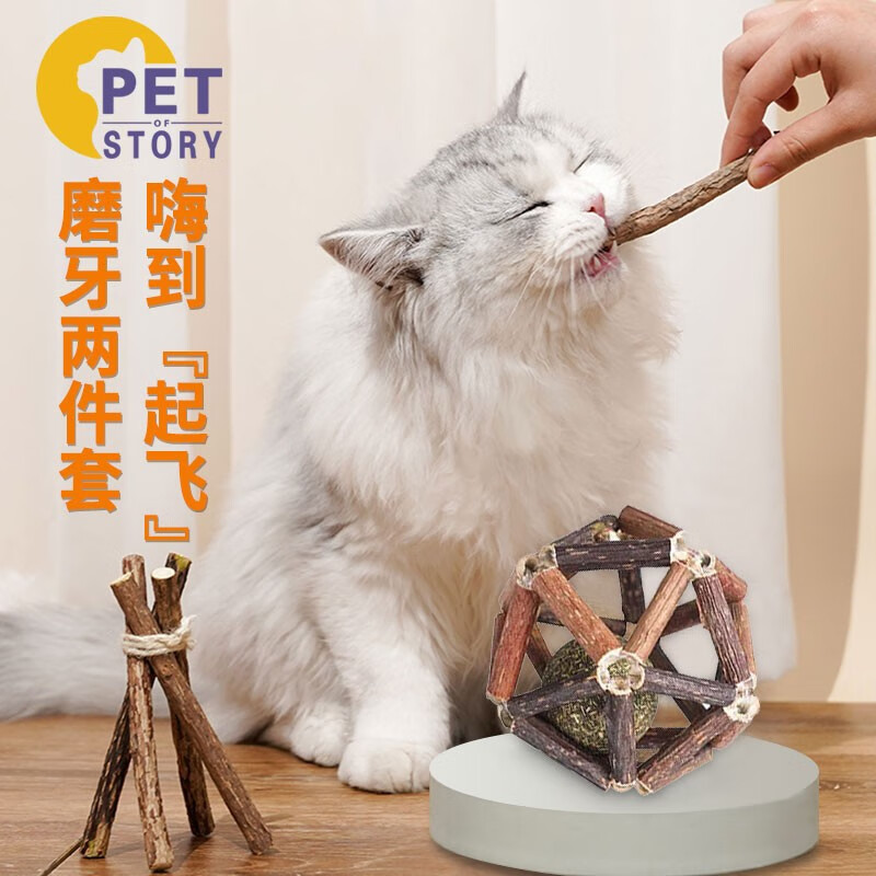 猫咪玩具苹果版睡着的小猫咪下载苹果版-第2张图片-太平洋在线下载