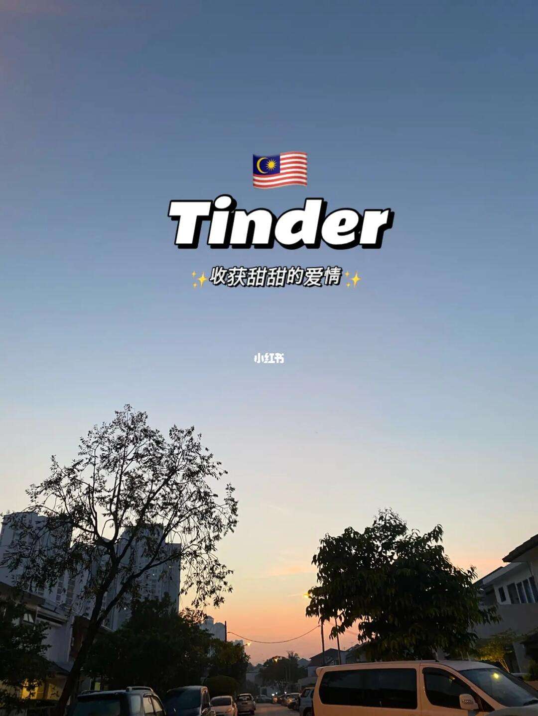 tinder安卓版2020tinder安卓版下载2024-第1张图片-太平洋在线下载