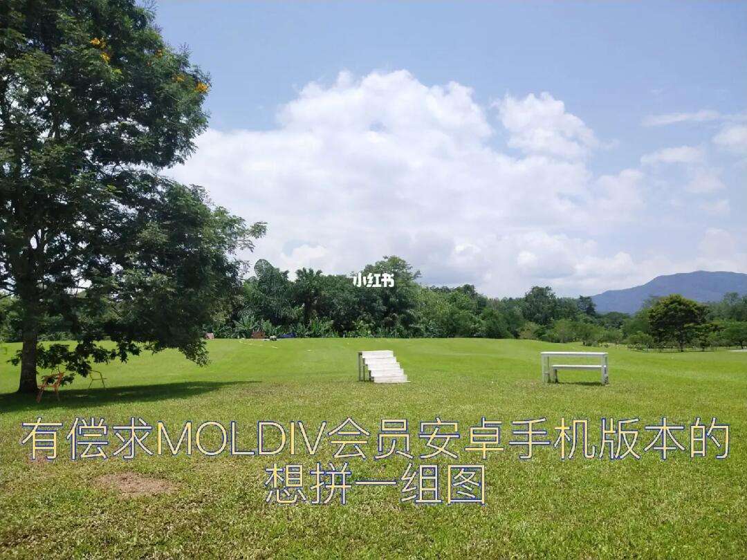 moldiv安卓版2.8moldiv电脑版官方下载免费版-第1张图片-太平洋在线下载