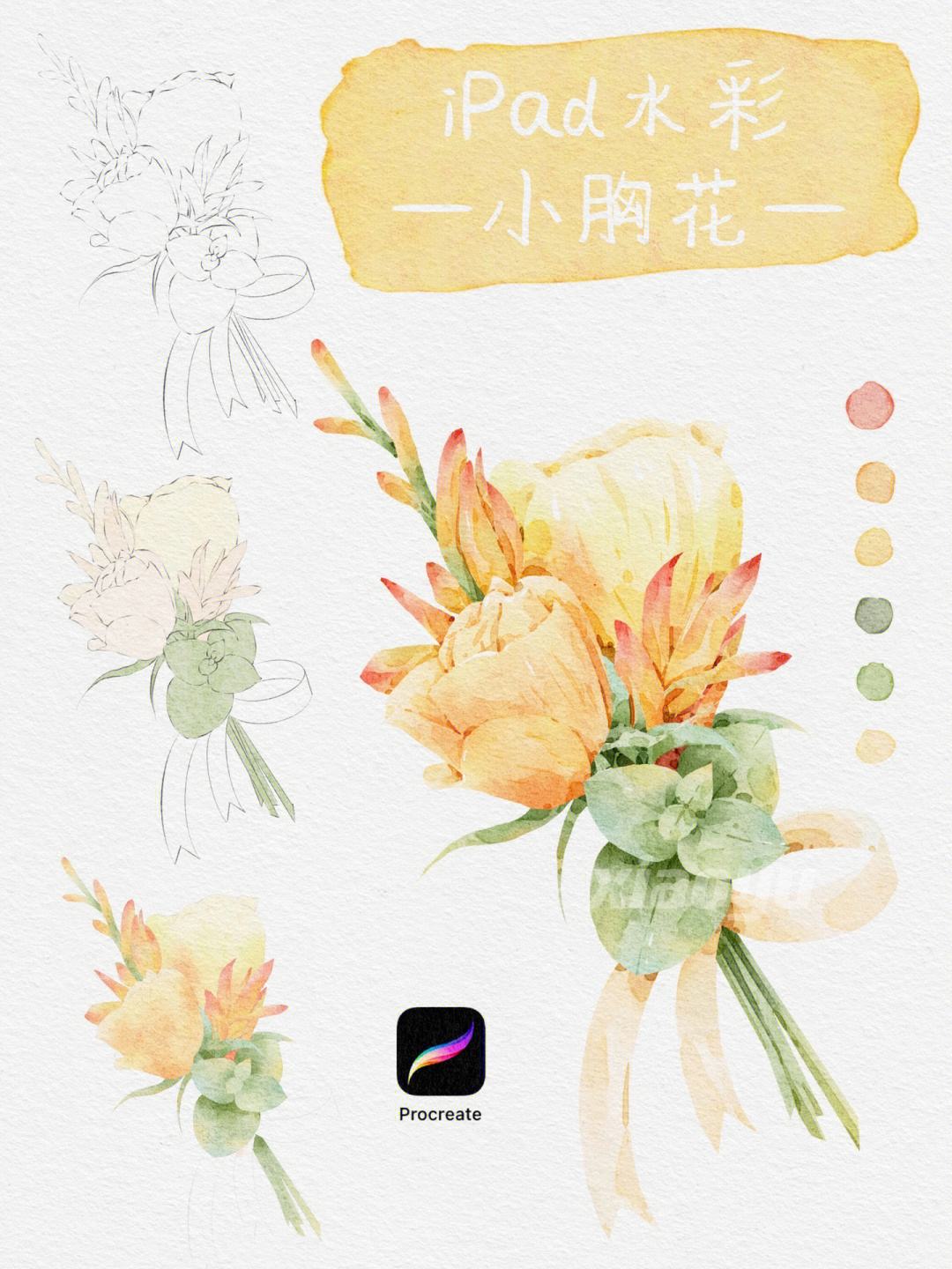 苹果版procreate教程procreate苹果版免费下载