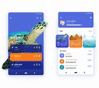 关于runfoxenhlish安卓版的信息-第2张图片-太平洋在线下载