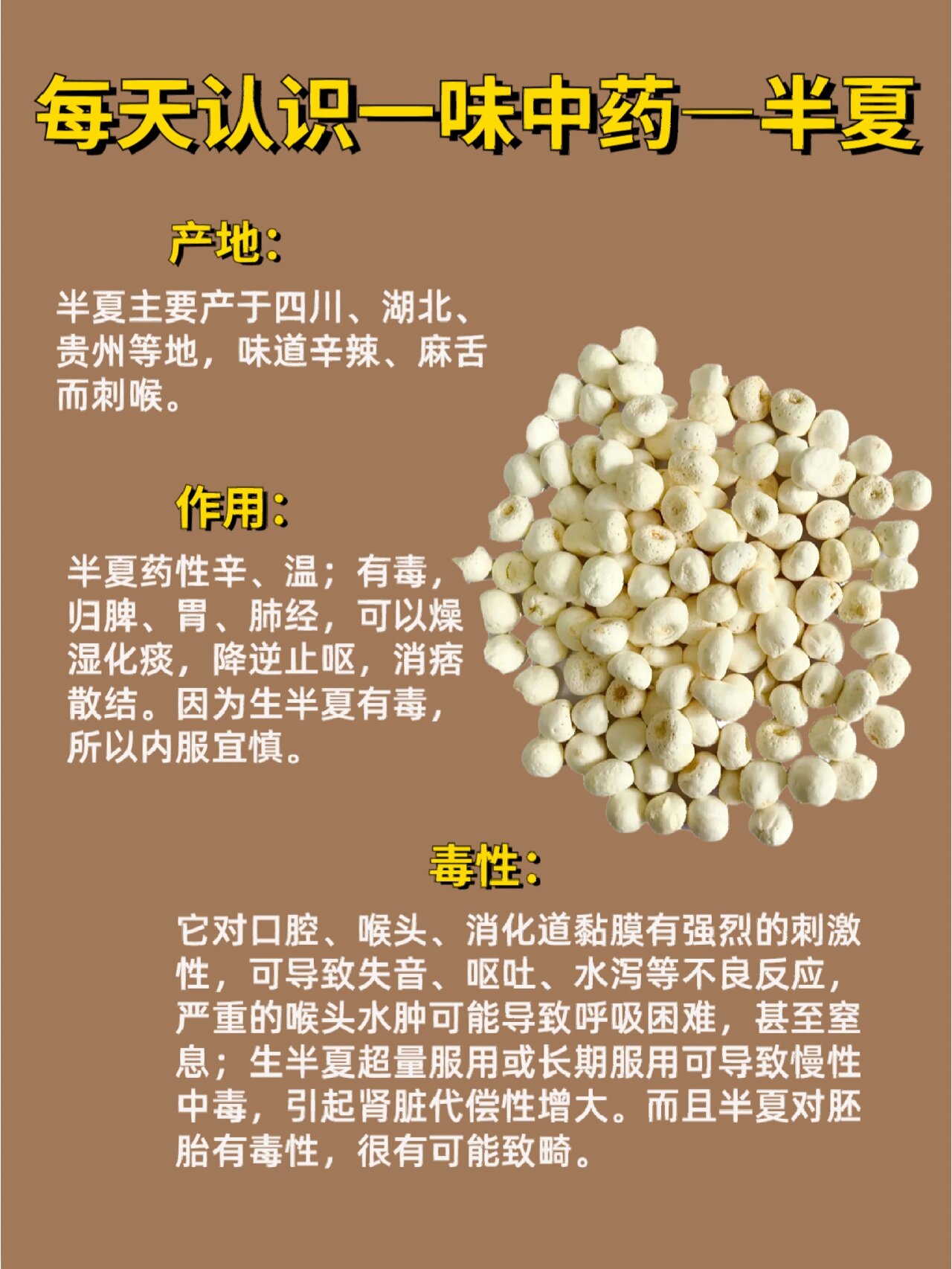半夏安卓版熊猫tv半夏瑶瑶-第2张图片-太平洋在线下载