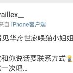 老虎帐号客户端老虎账号个人中心-第2张图片-太平洋在线下载