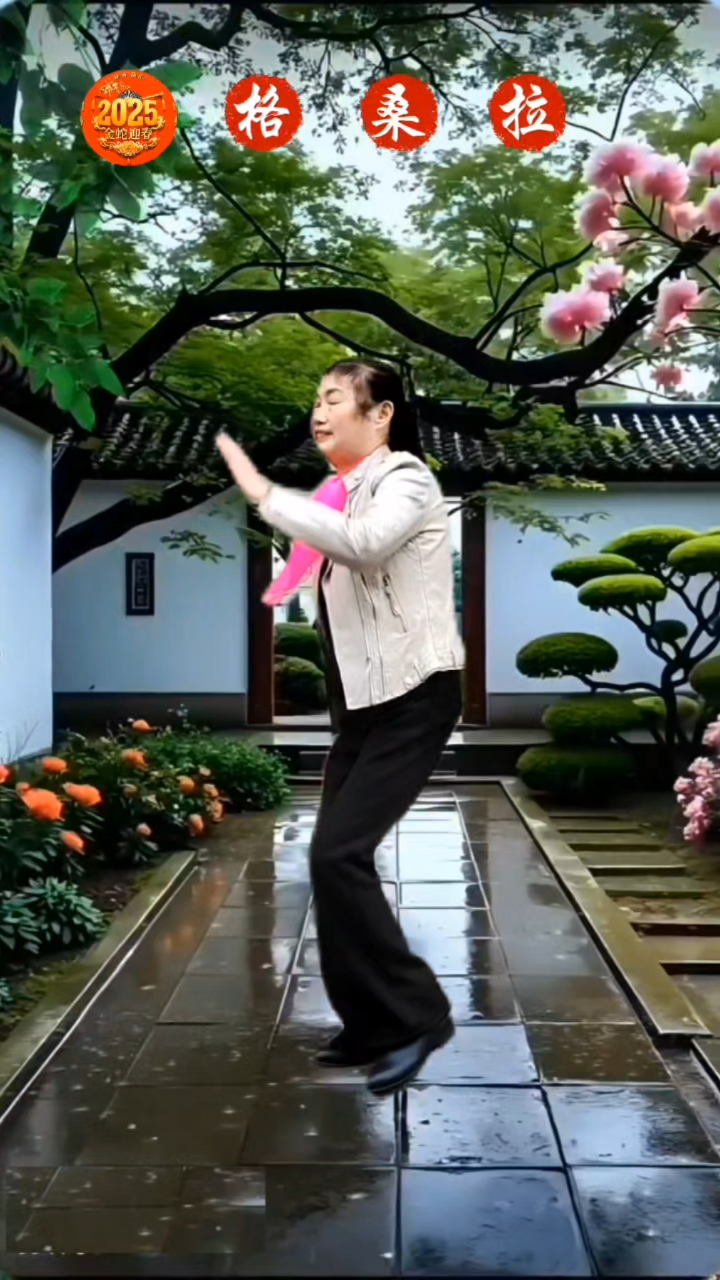 手机竖屏版广场舞(性感广场舞手机竖屏)-第5张图片-QuickQ官网