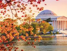 美国意外的春天手机版(美剧意外的春天在线观看)-第2张图片-QuickQ官网